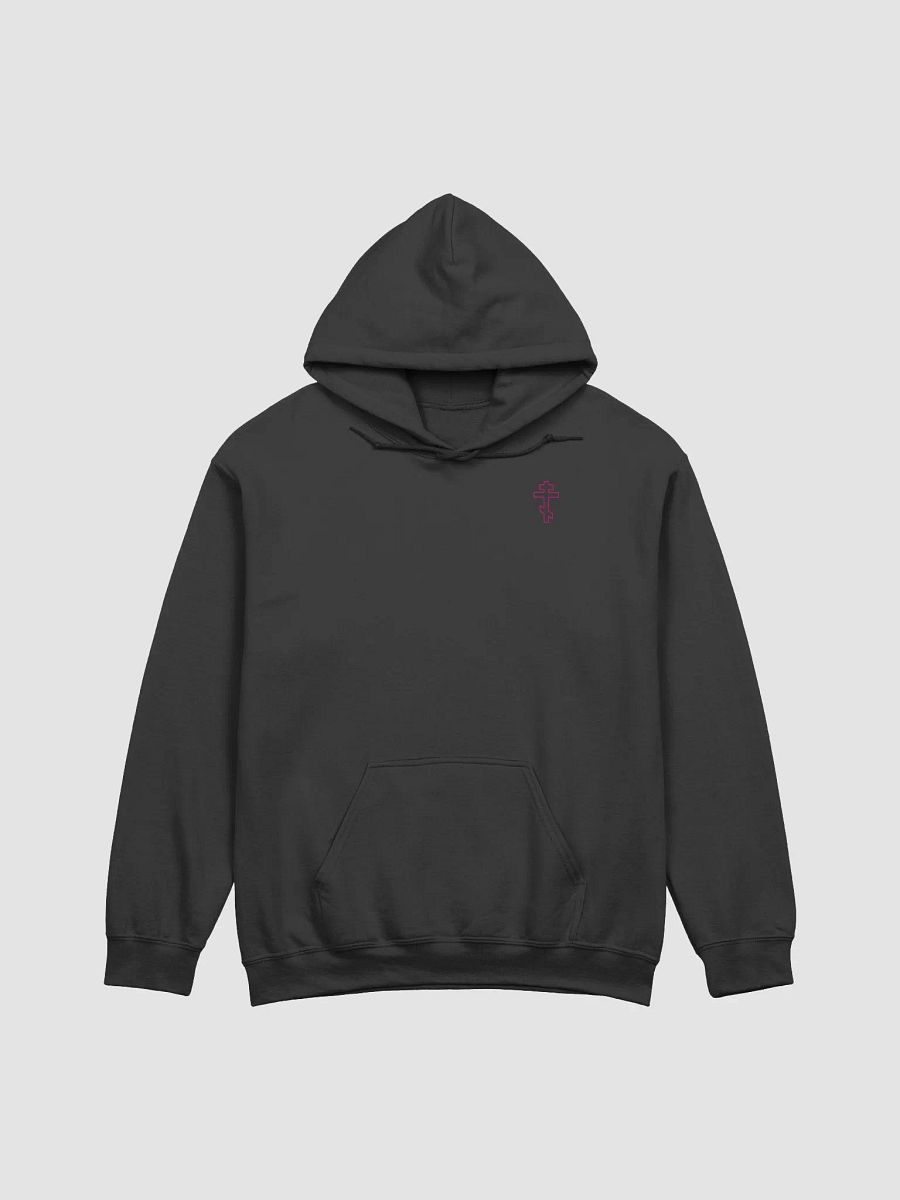 Trample Evil Hoodie product image (4)