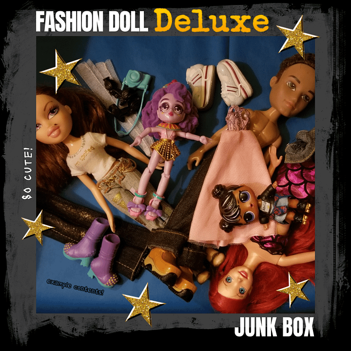 DELUXE Fashion Doll Junk Box product image (1)