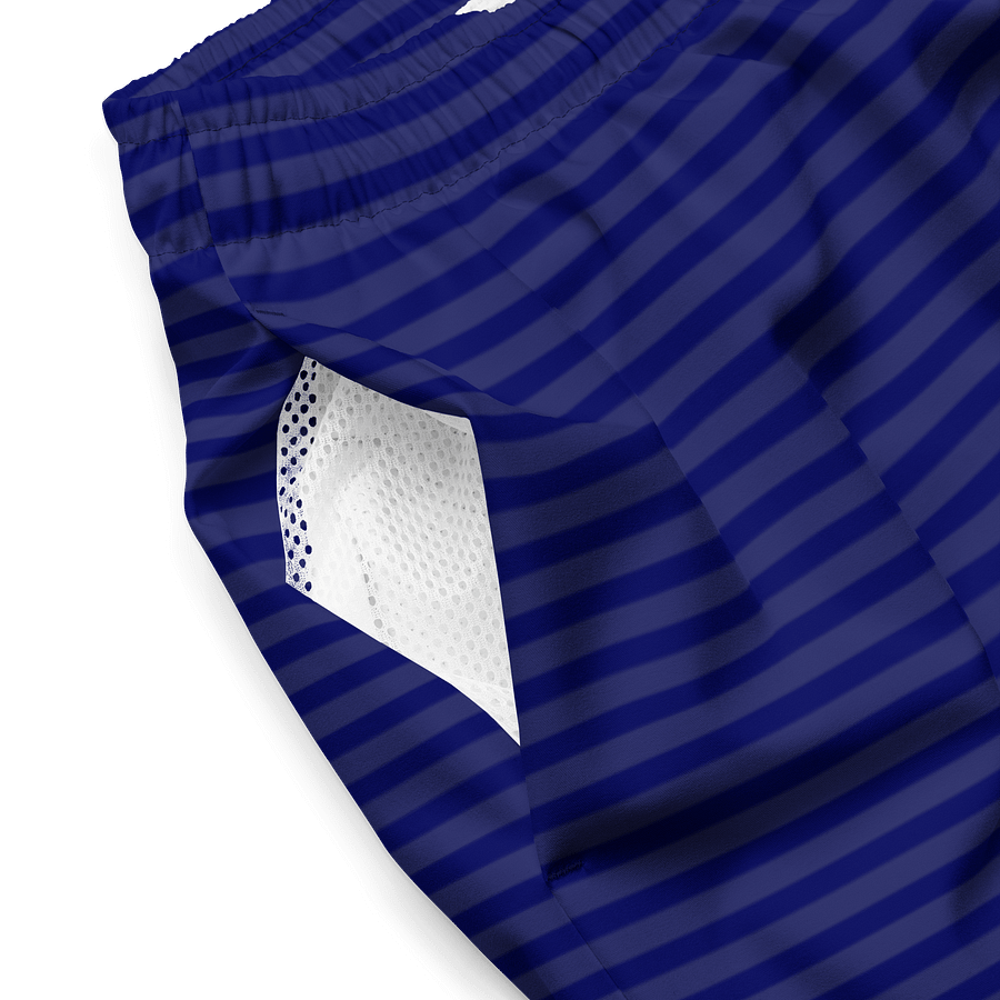 Ocean Blue Striped Swim Trunks product image (4)