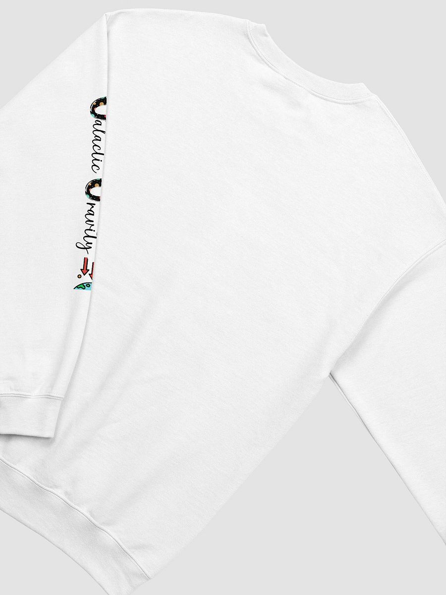 Galactic Gravity Solar System Zodiac Astrology Quantum Physics Cozy Sweatshirt! product image (4)