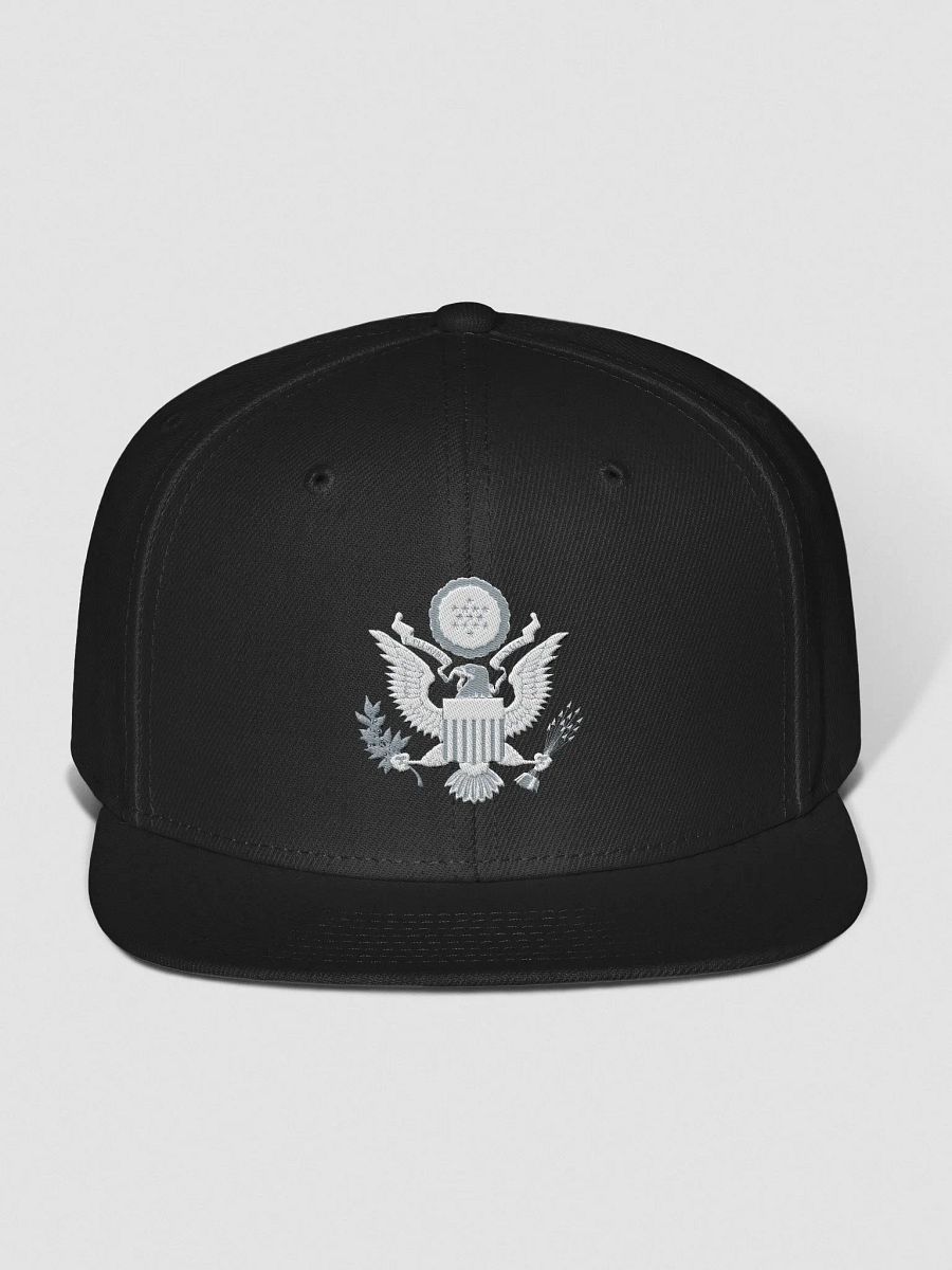 USA Cap product image (5)