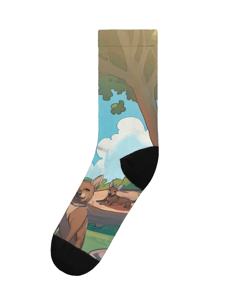 StoneySocks product image (1)