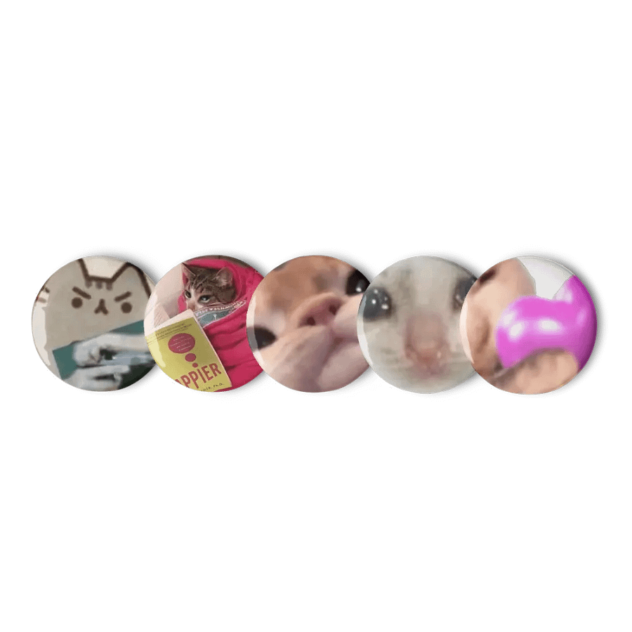 Set of Pin Buttons: Meme Cats 21 product image (9)