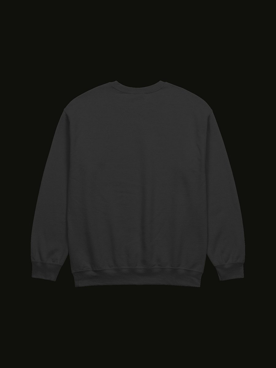 Fourthwall x Champion Crewneck [S149] product image (3)