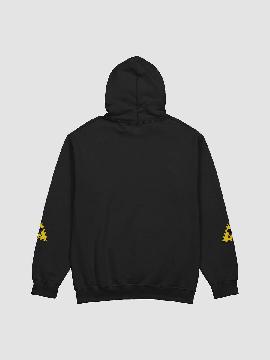 Air Drop Hoodie (Full on Front) product image (15)
