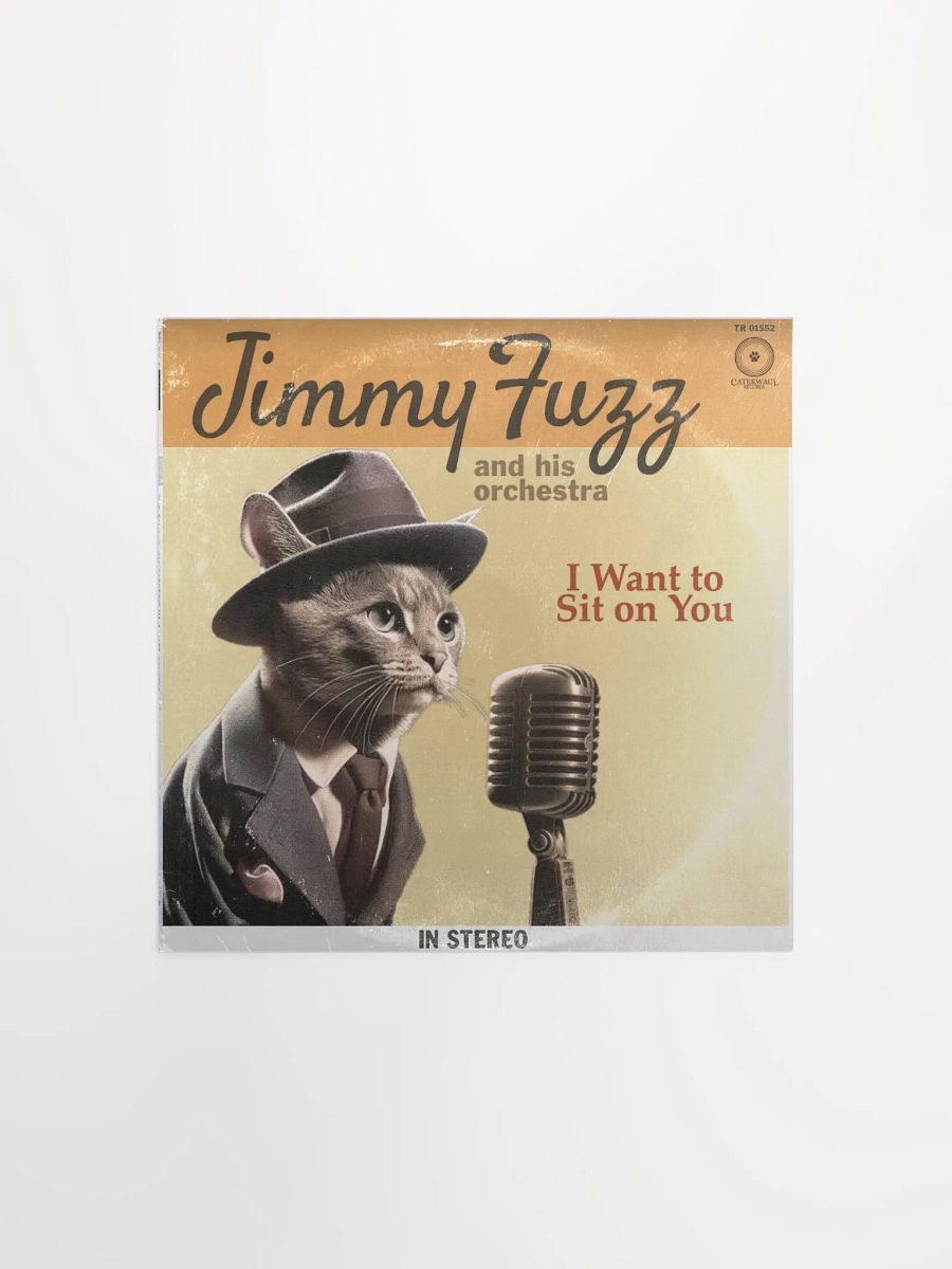 Jimmy Fuzz Poster - I Want To Sit On You album jacket (front) - 12