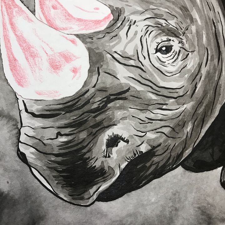 original painting : black rhino product image (2)