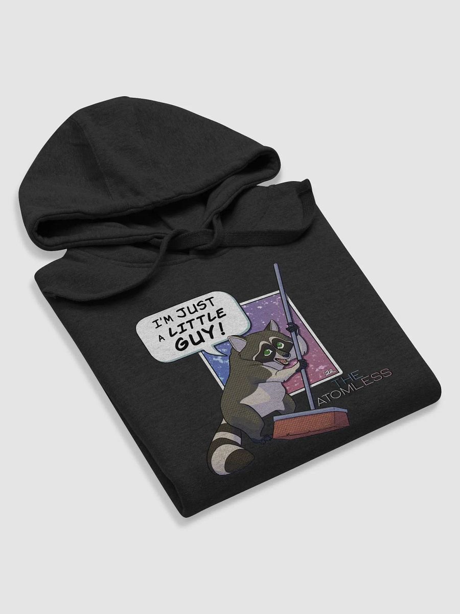 Guy the Racoon Hoodie product image (41)