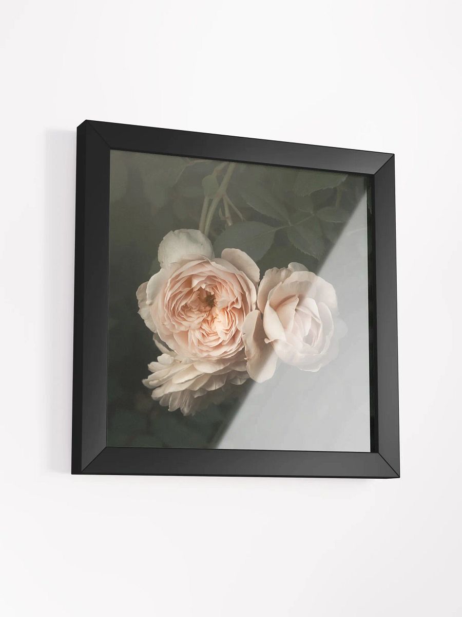 Blush of Summer product image (3)