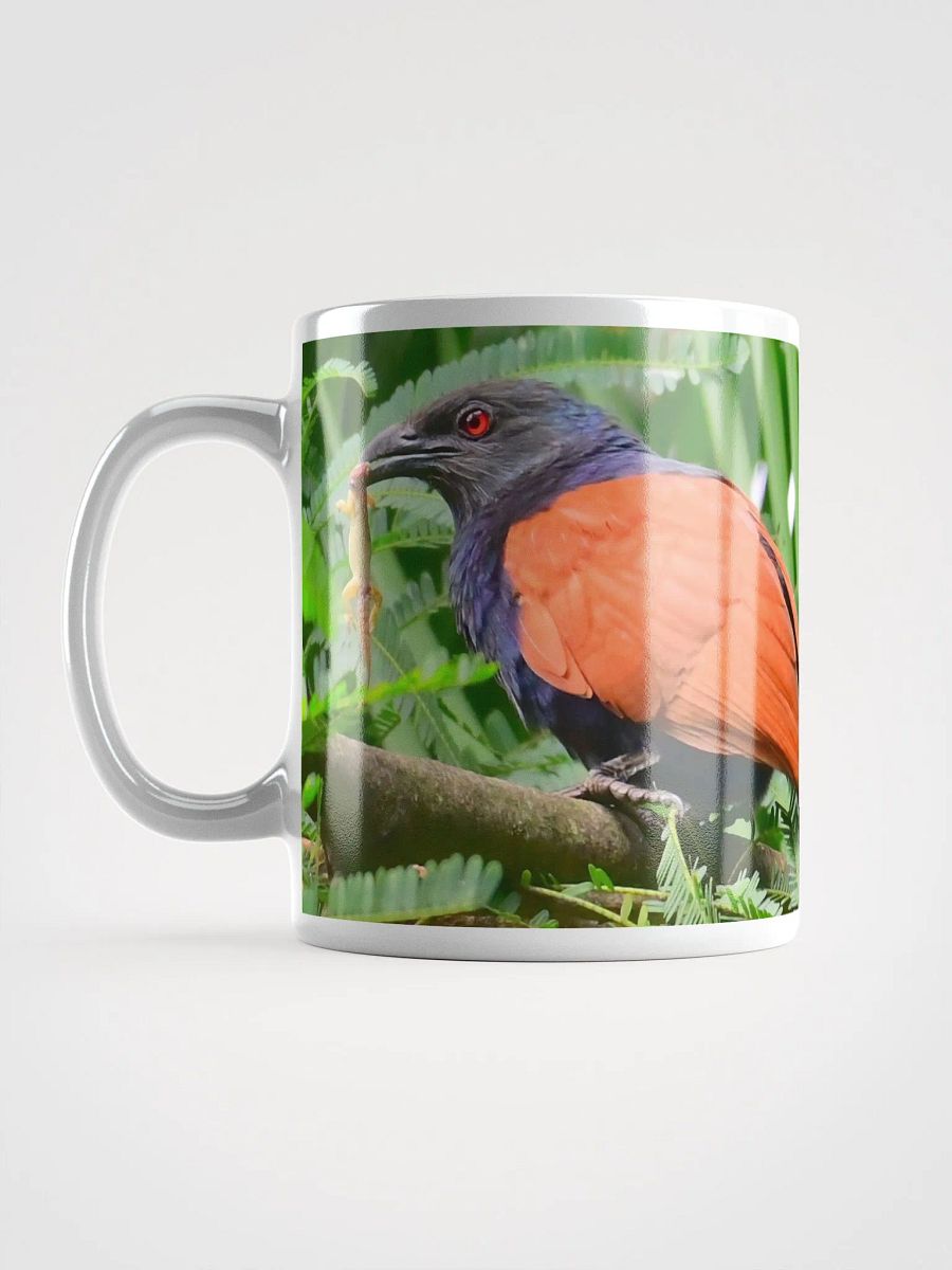 IUCAA Birds MUG product image (6)