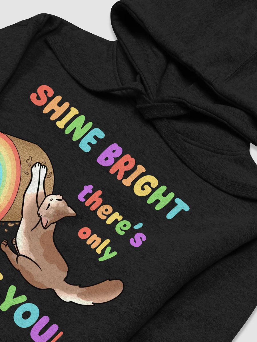 Shine Bright Pride Hoodie product image (33)
