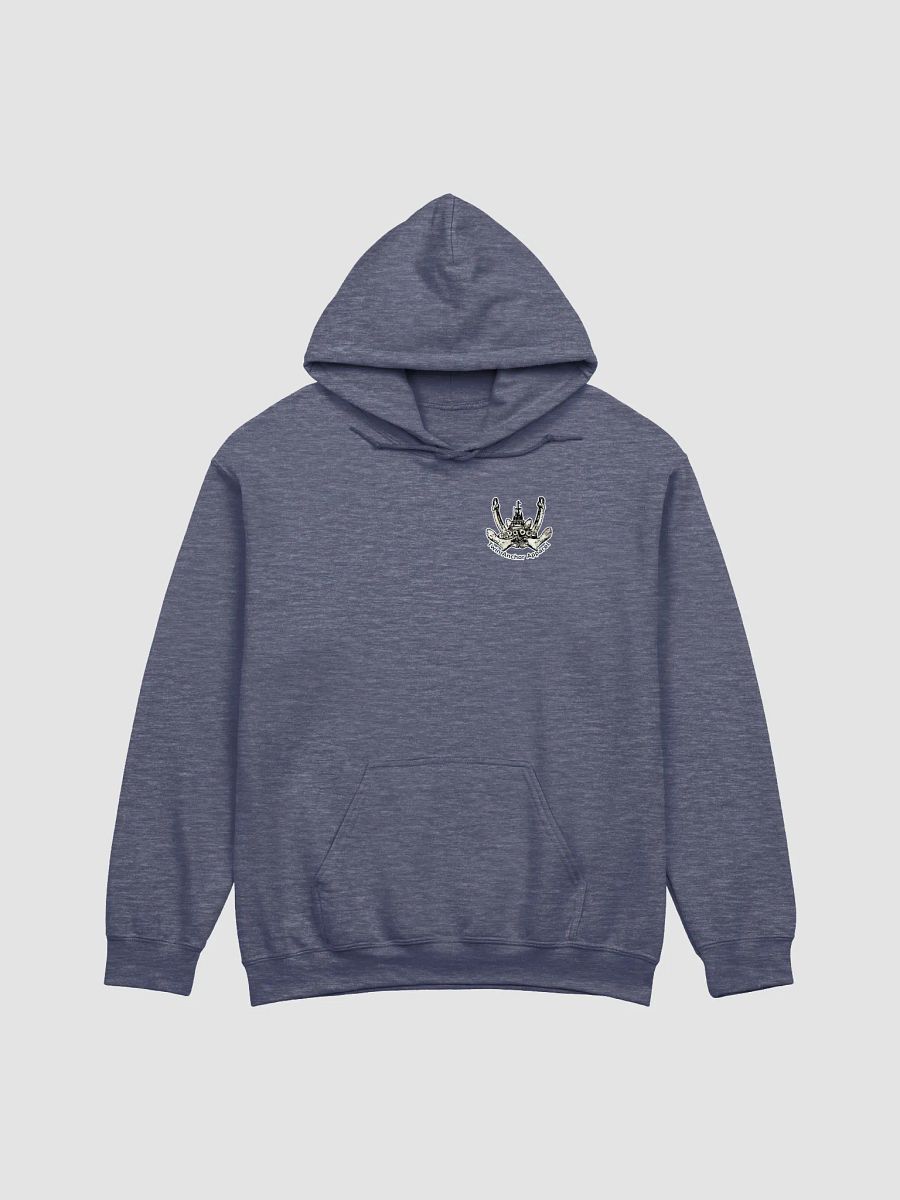 Compass Rose Pacific Falcon Flage Hoodie product image (2)