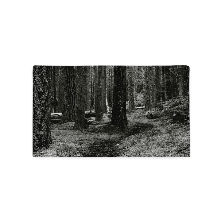 Hiking in the Buckhorn Wilderness Pillowcase product image (2)