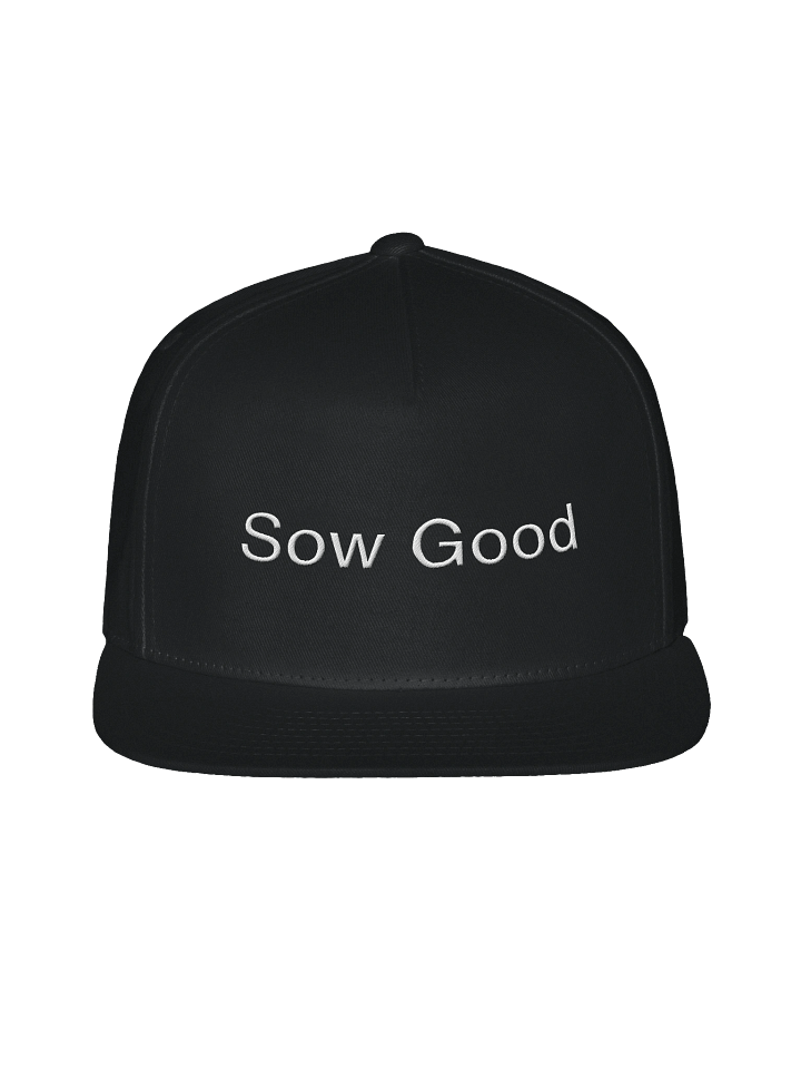 Sow Good - Snapback Hat product image (1)