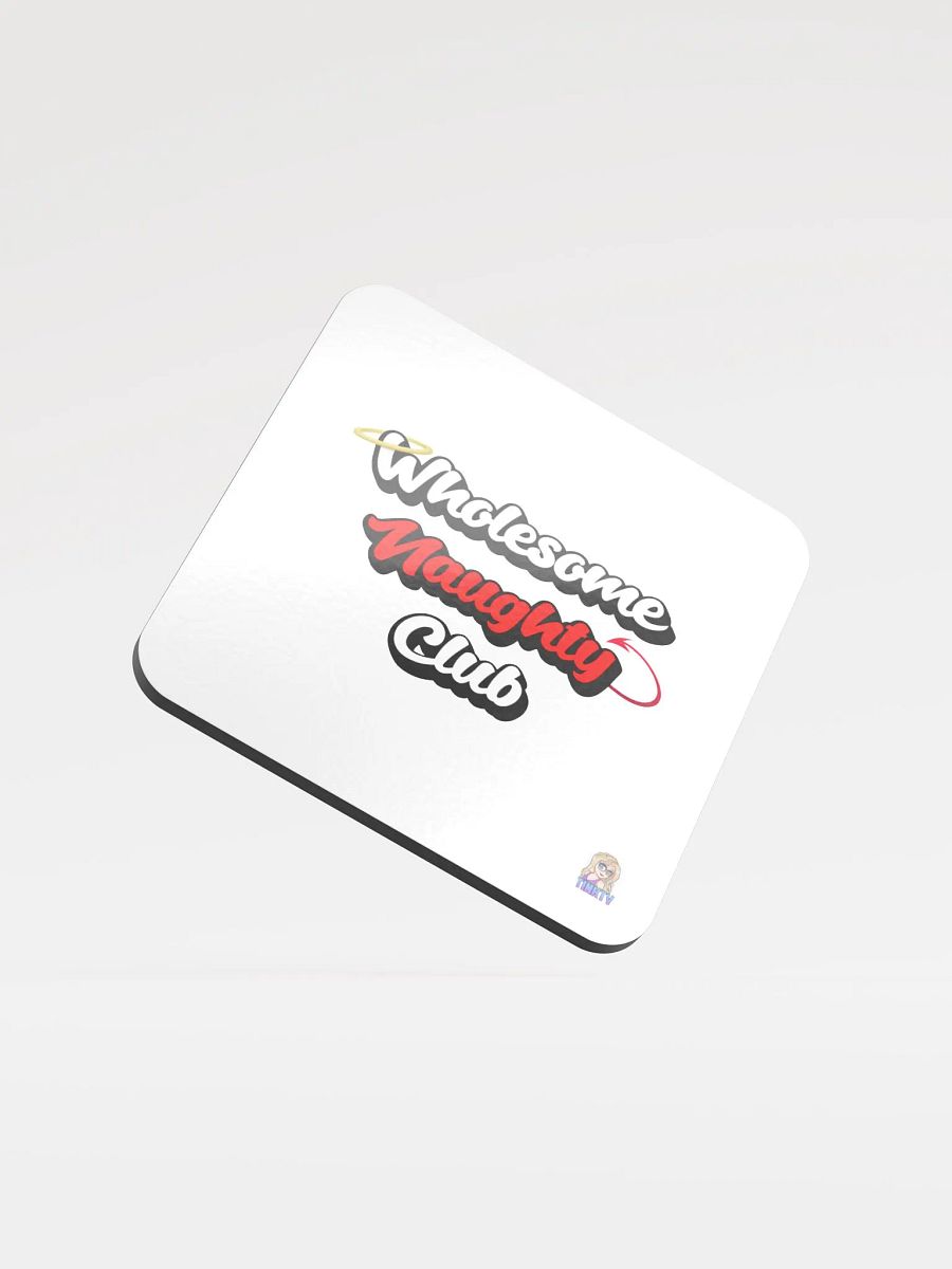 Wholesome Naughty coasters product image (1)