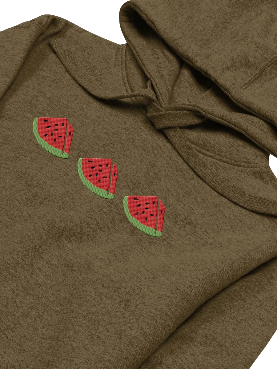 Sandia Embroidered Hoodie (green) product image (2)