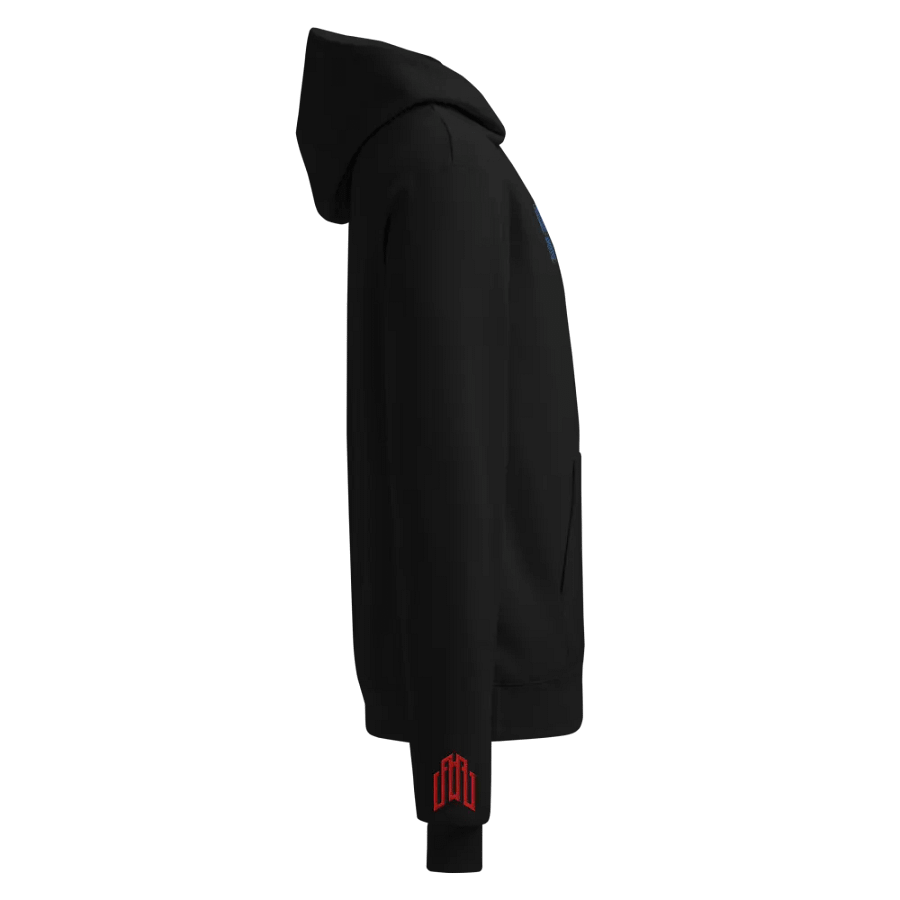 AOD X MZSG CHAMPION HOODIE product image (4)