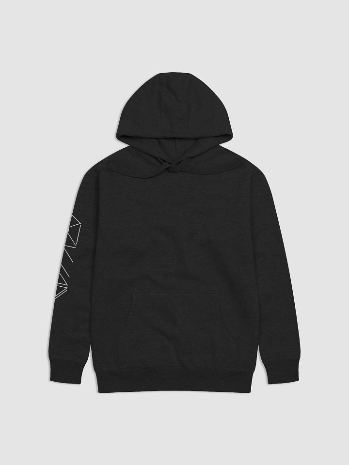 Aegiscarr Wordmark Hoodie product image (2)