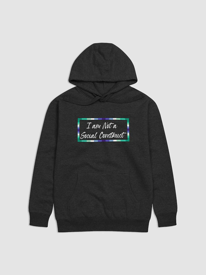 I am Not a Social Construct - Gay - Hoodie product image (1)