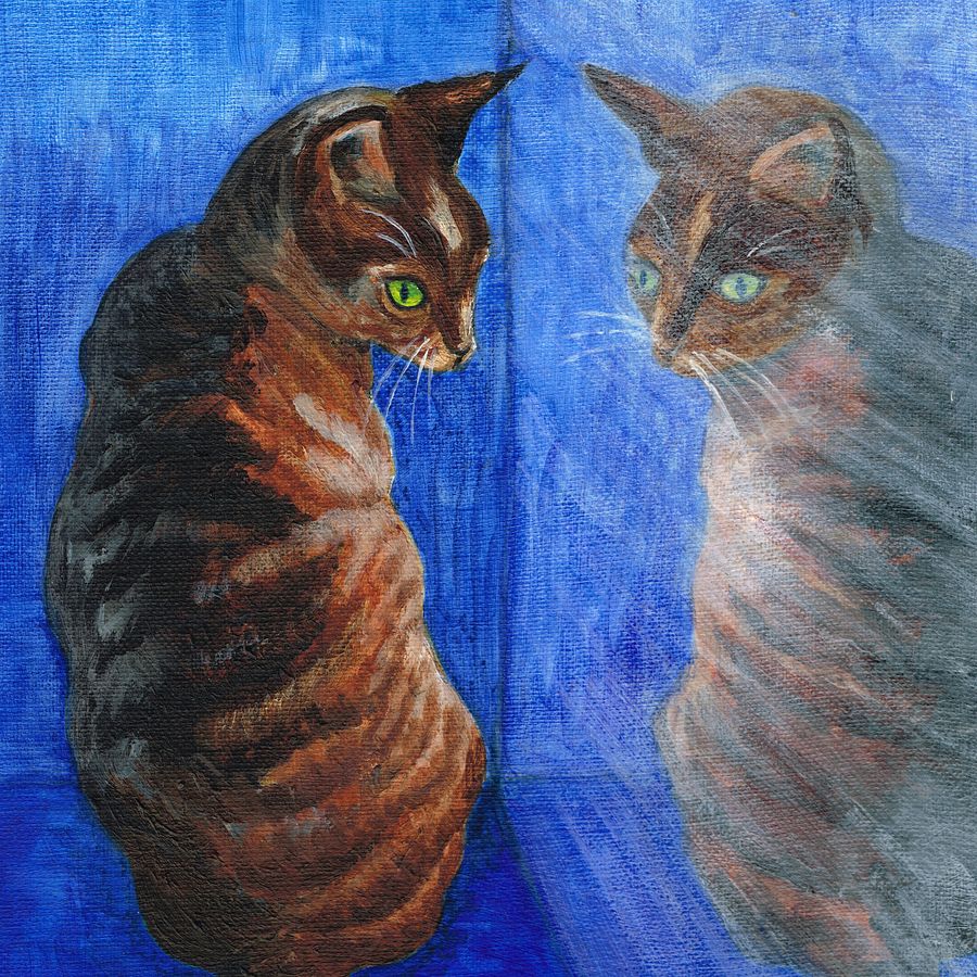 Mirror cat throw pillow product image (2)