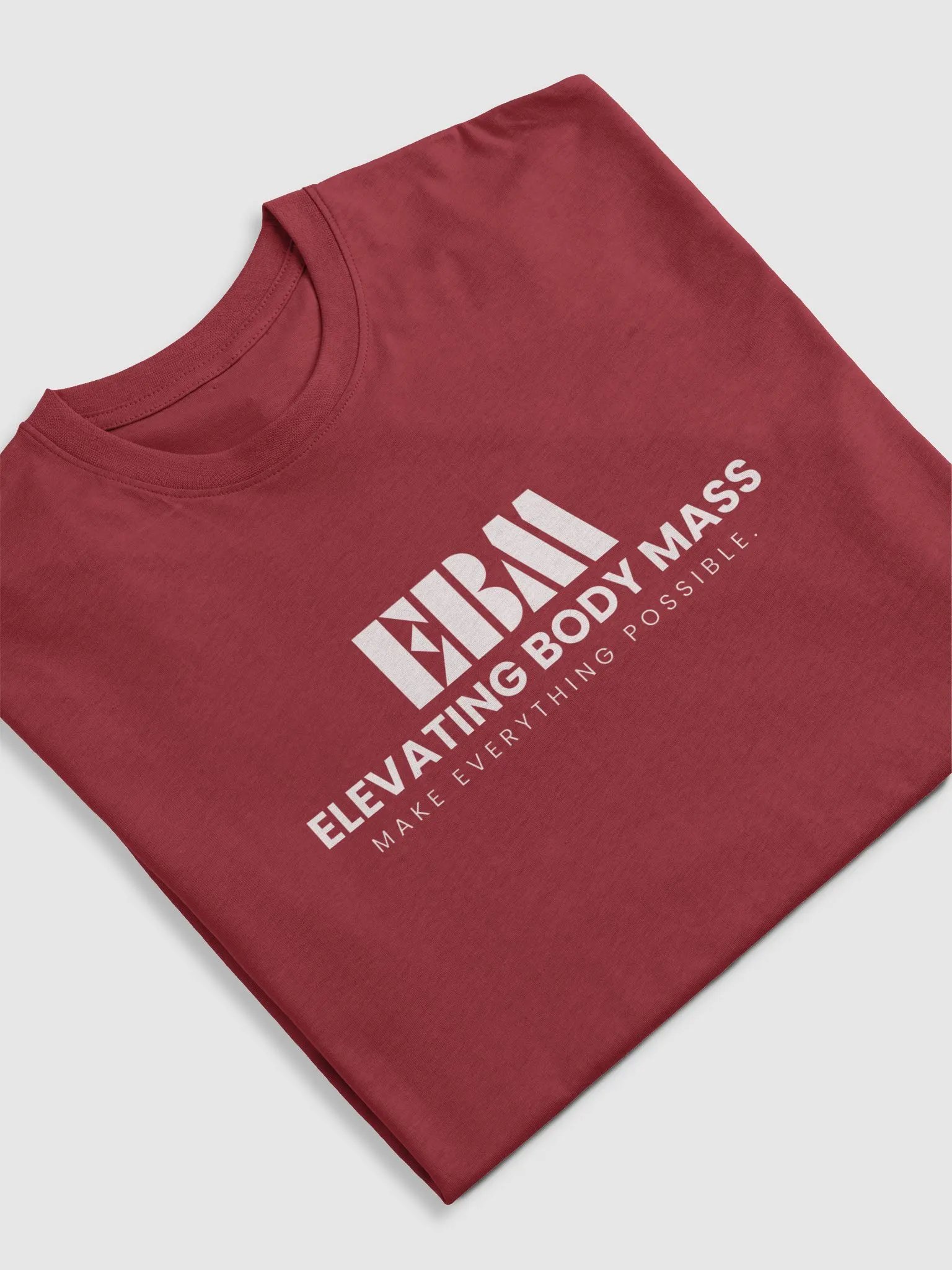 EBM Heavyweight Tees (White Logo) product image (5)