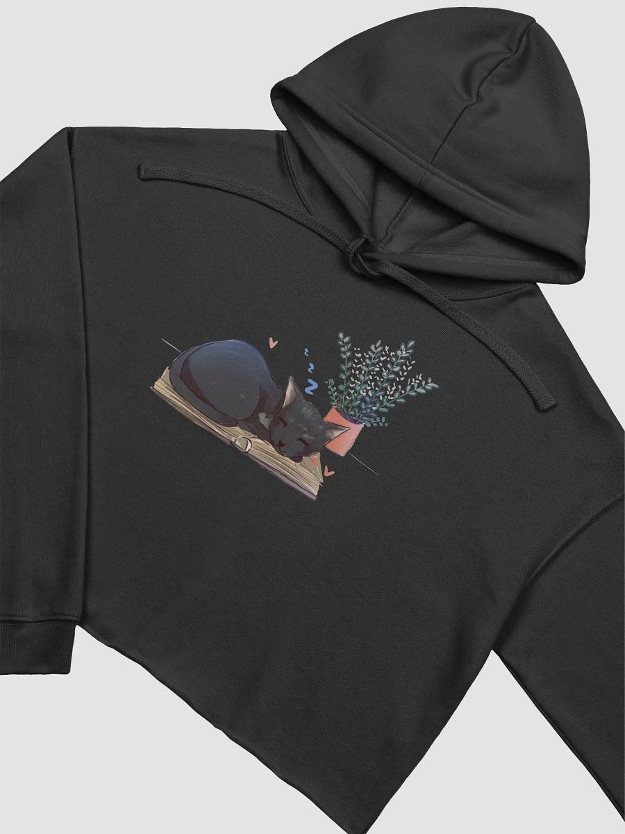 Locke Crop Hoodie product image (3)