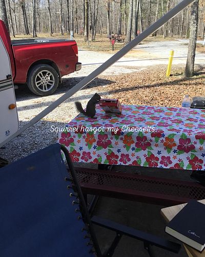 Squirrel got my cheeseits! More of my video at https://youtube.com/@onlyweekendsrv