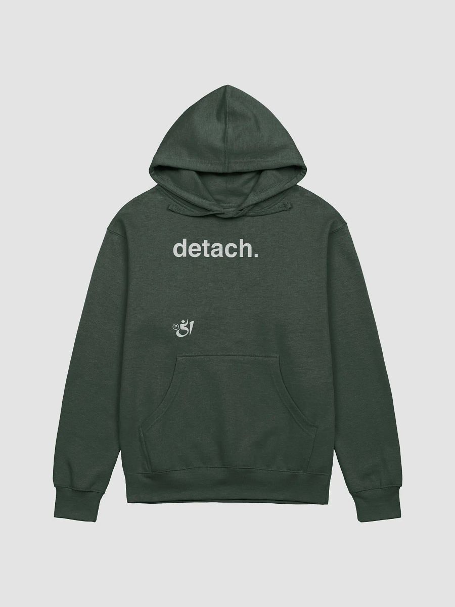 detach. hoodie product image (1)
