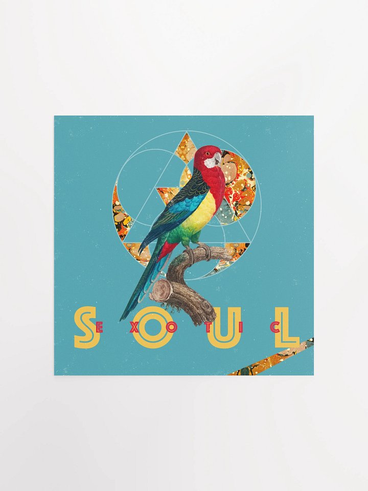 Vibrant Parrot Perch Poster product image (2)