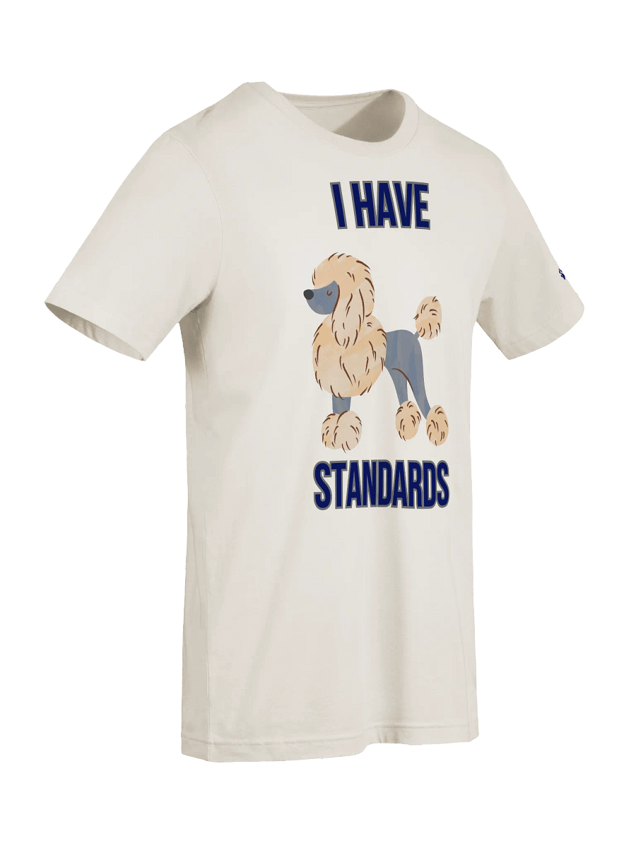 I HAVE STANDARDS T-Shirt product image (20)