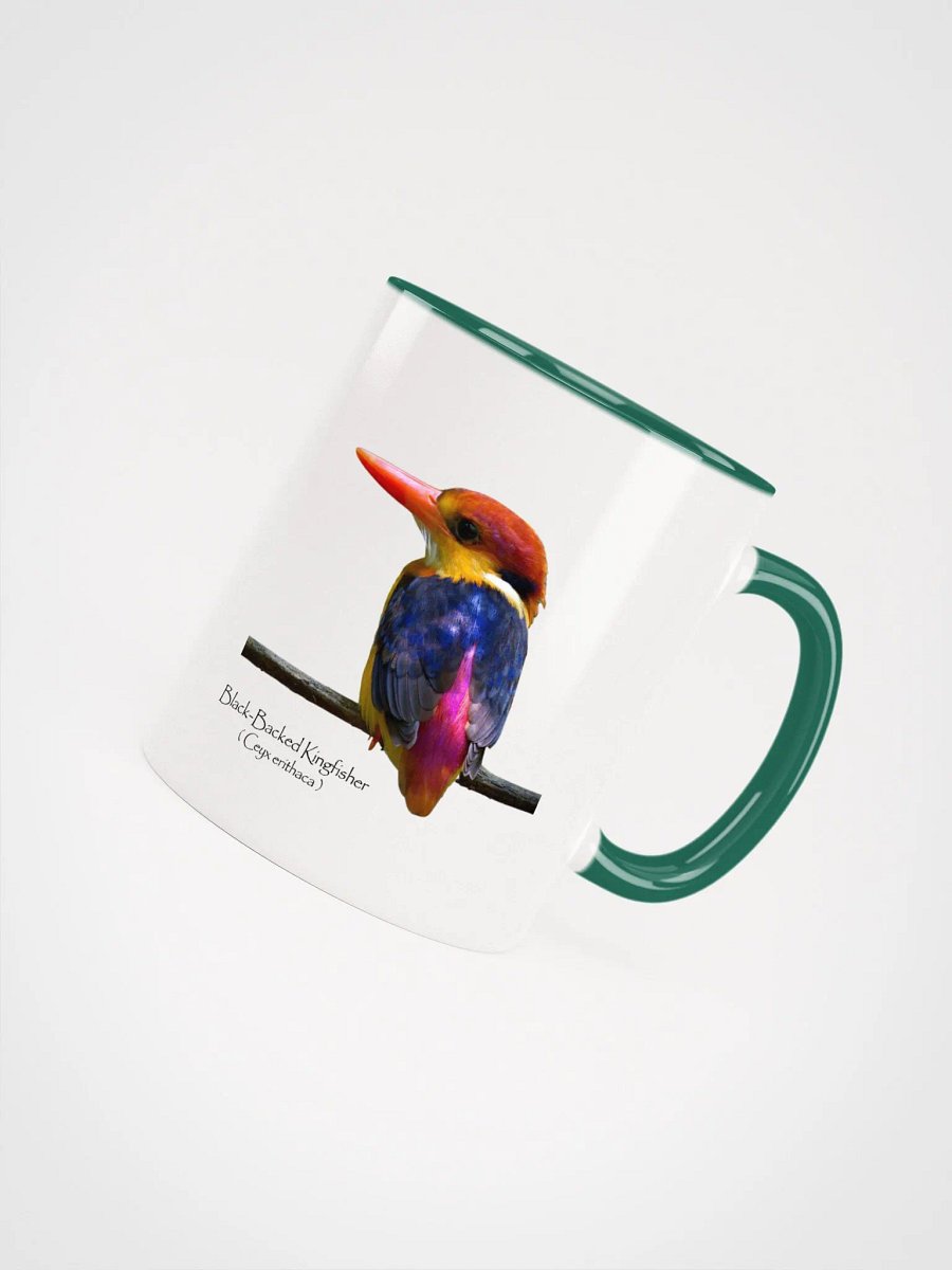 Oriental Dwarf Kingfisher product image (37)