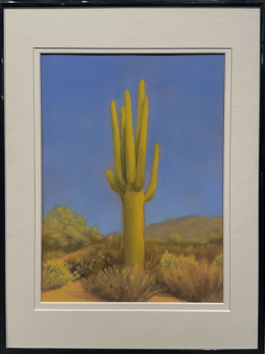 Tucson Saguaro product image (1)