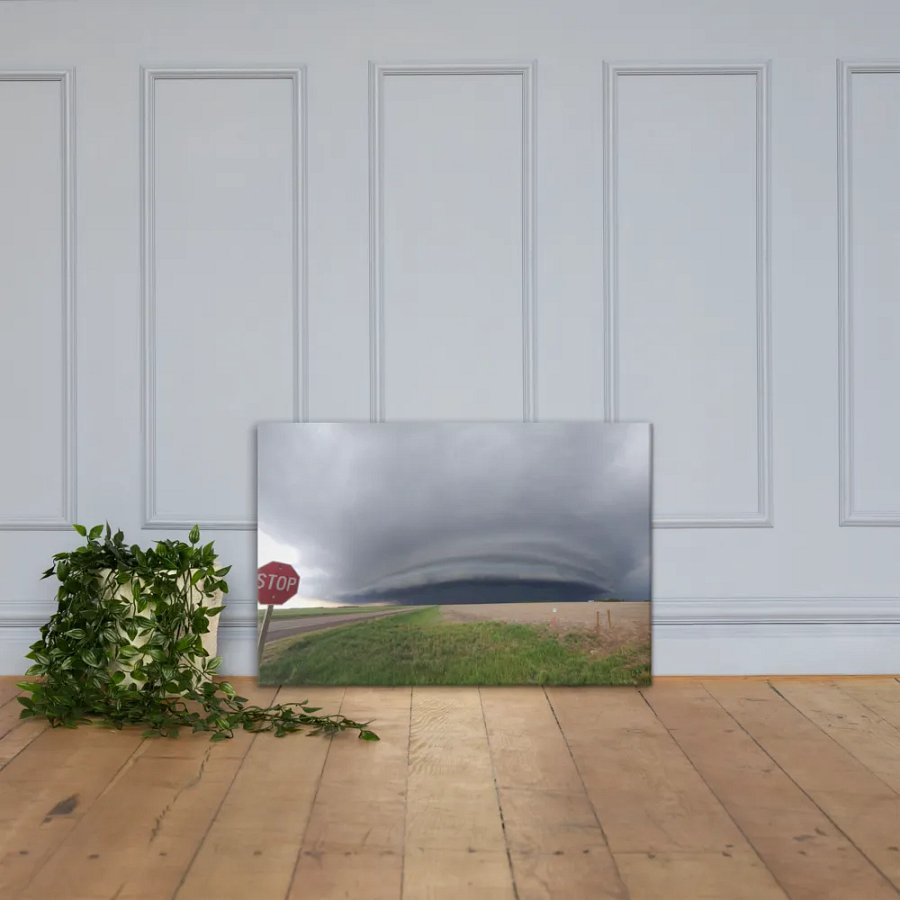 Go No Further Canvas product image (4)