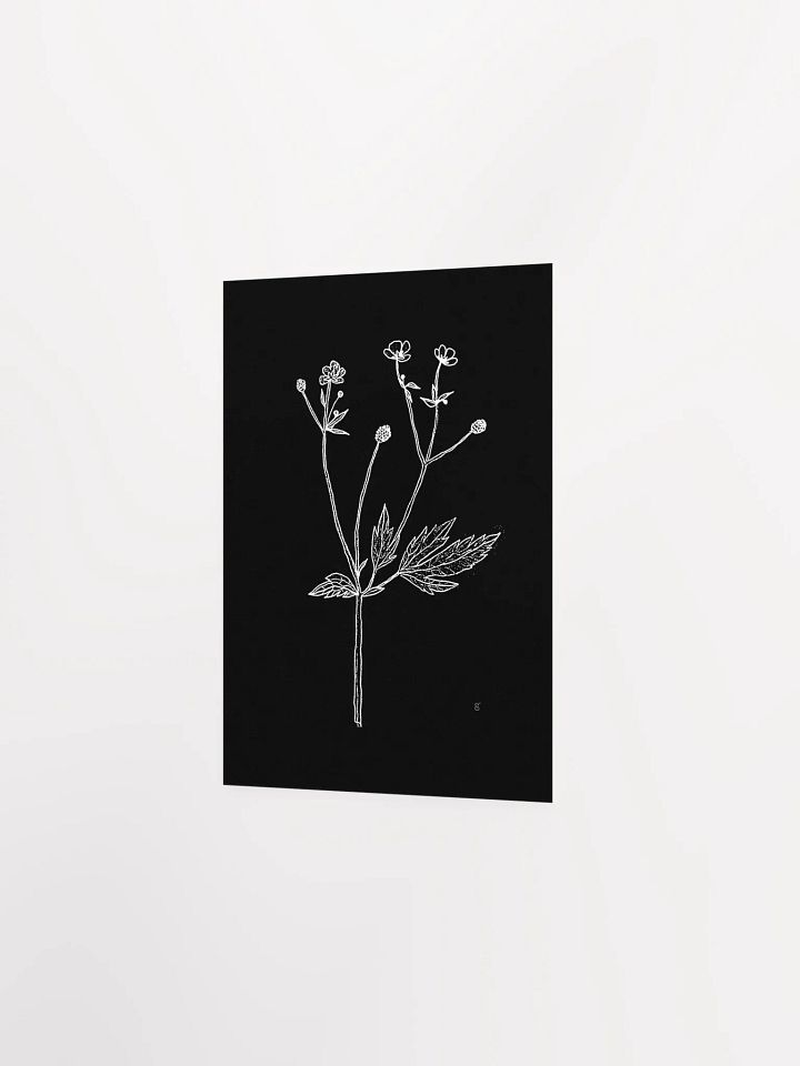 Botanical Bliss Matte Poster - Wild Flowers Dark Stylish product image (2)