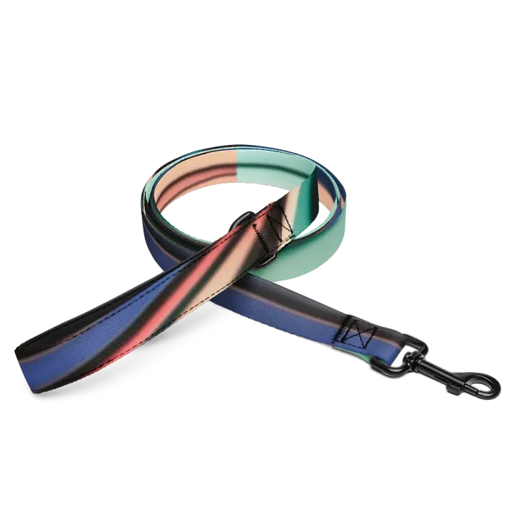 Vibrant Sublimation Pet Leash product image (2)