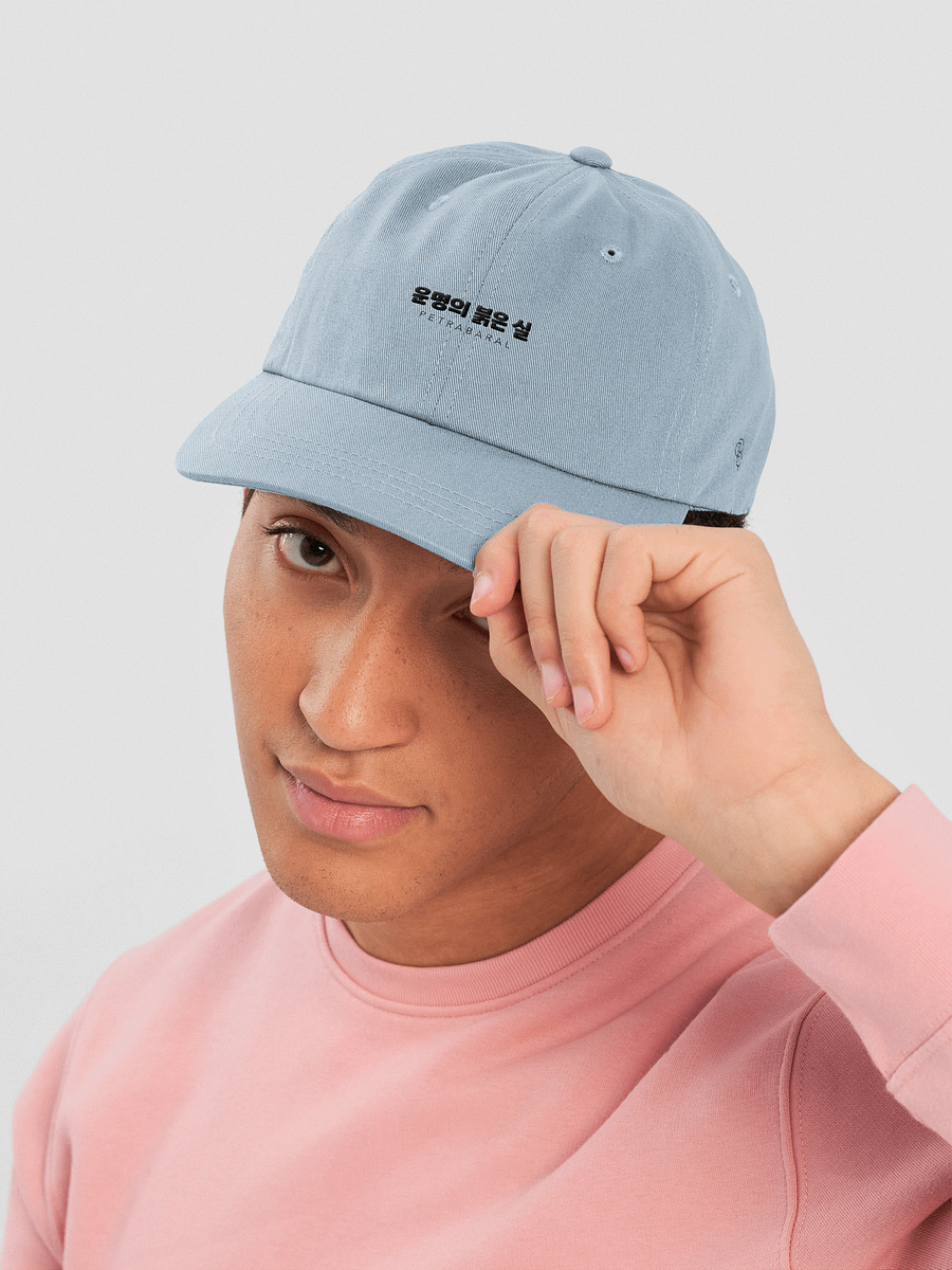TRTOF Dad Hat product image (17)