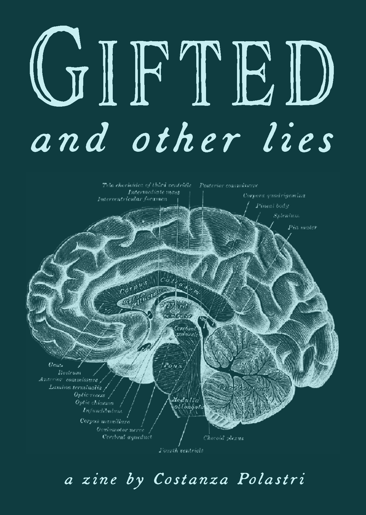 Gifted and other lies (zine) product image (9)