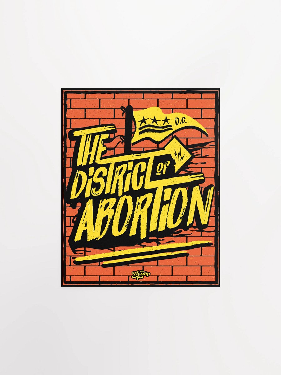 The District of Abortion 8x10 poster product image (1)