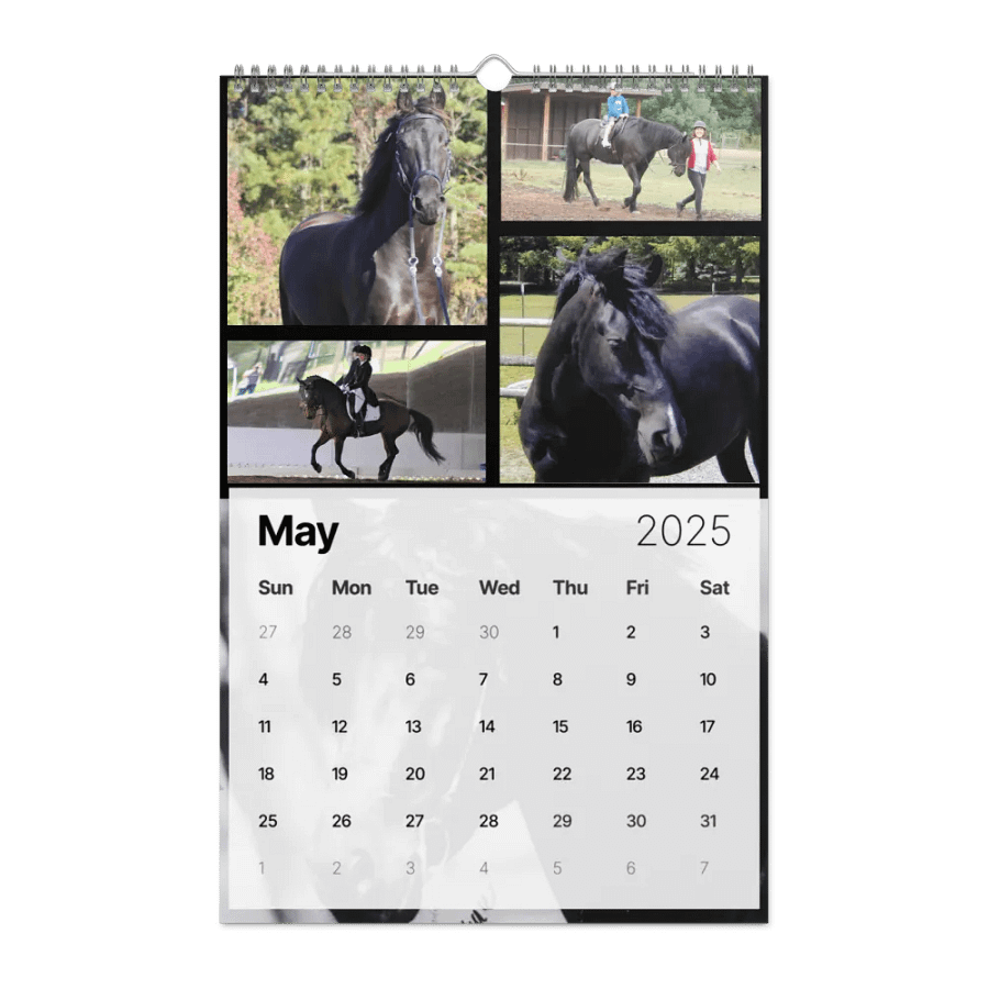 2025 Moriesian Horse Registry Calendar product image (23)