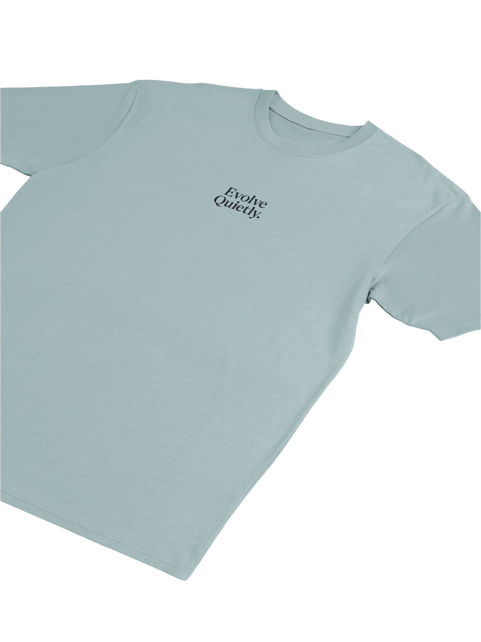 “Evolve Quietly.” Minimal Tee product image (17)