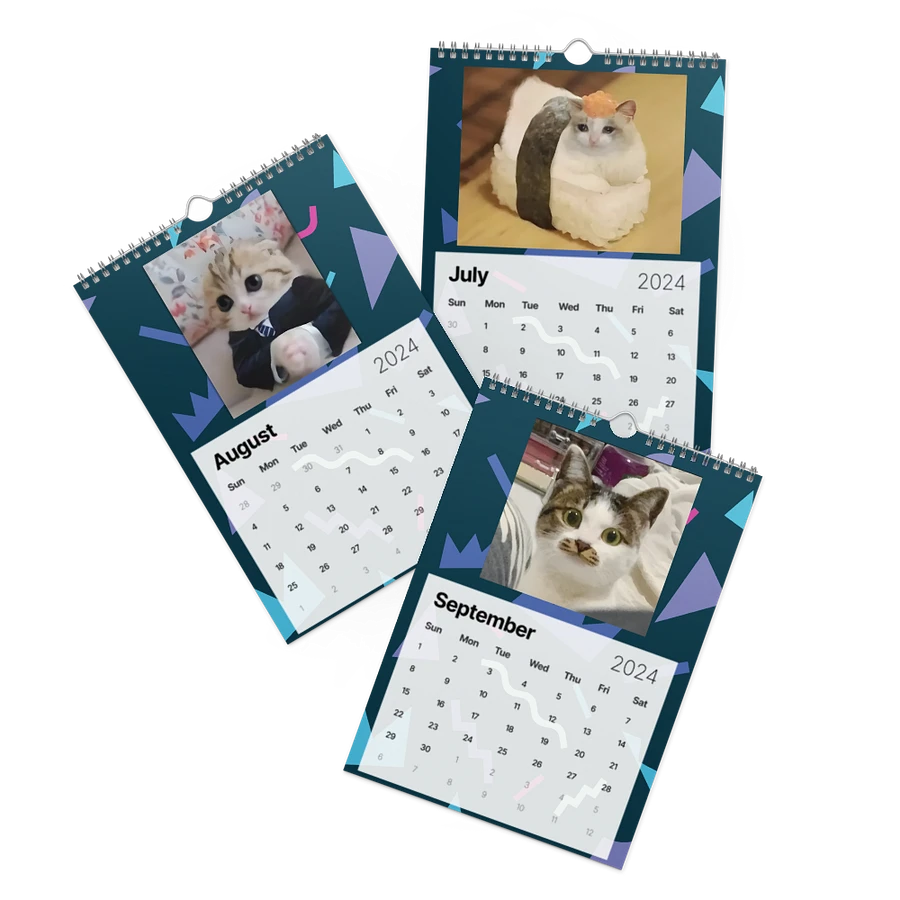 Wall Calendar (2024): Meme Cats product image (11)