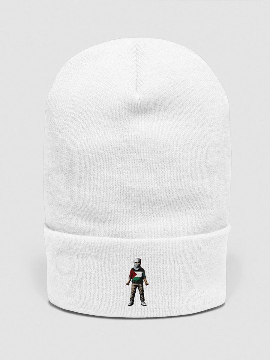 Yupoong Cuffed Beanie | AI Design FREE PALESTINA product image (1)