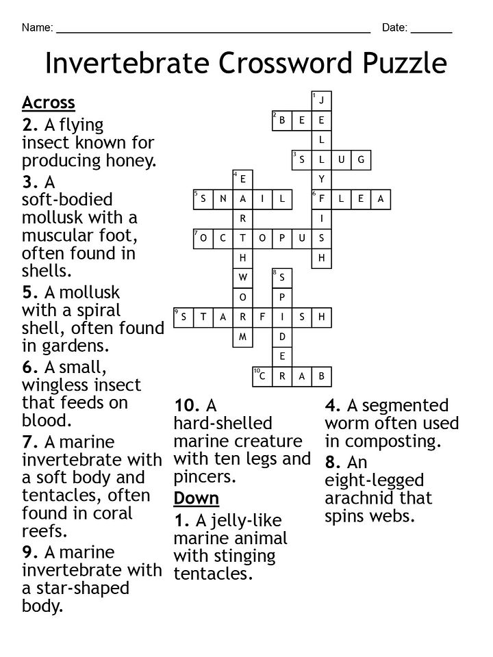 Invertebrate Crossword Puzzle – Fun and Educational Biology Activity product image (2)