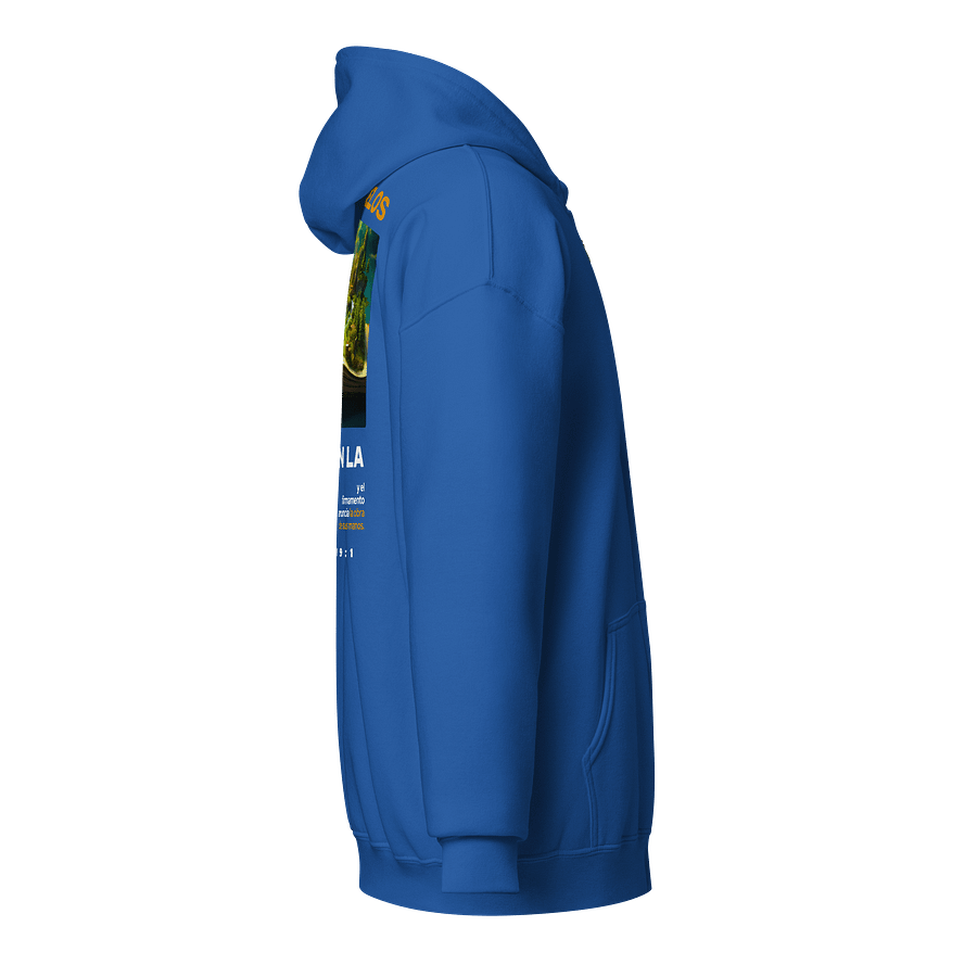 Sudadera Unisex con Capucha y Cremallera | Los Cielos cuentan la gloria de Dios product image (4)