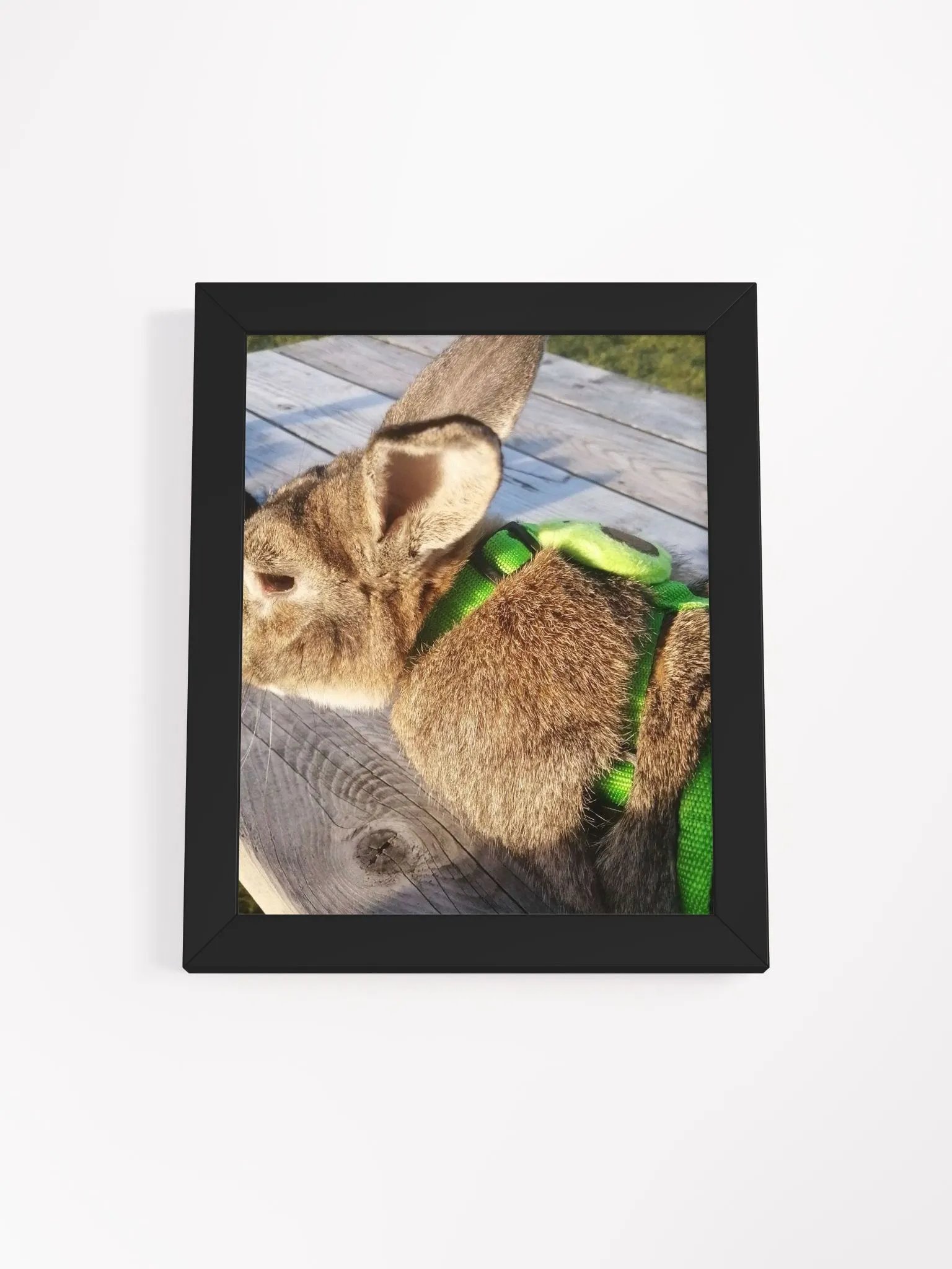 Poster Of My Bunny product image (41)