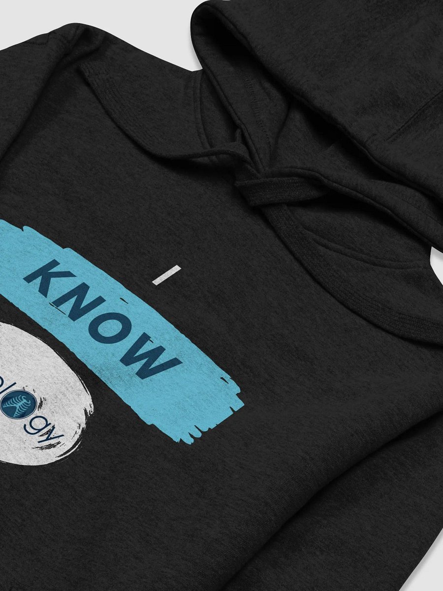 Rad Hoodie product image (3)