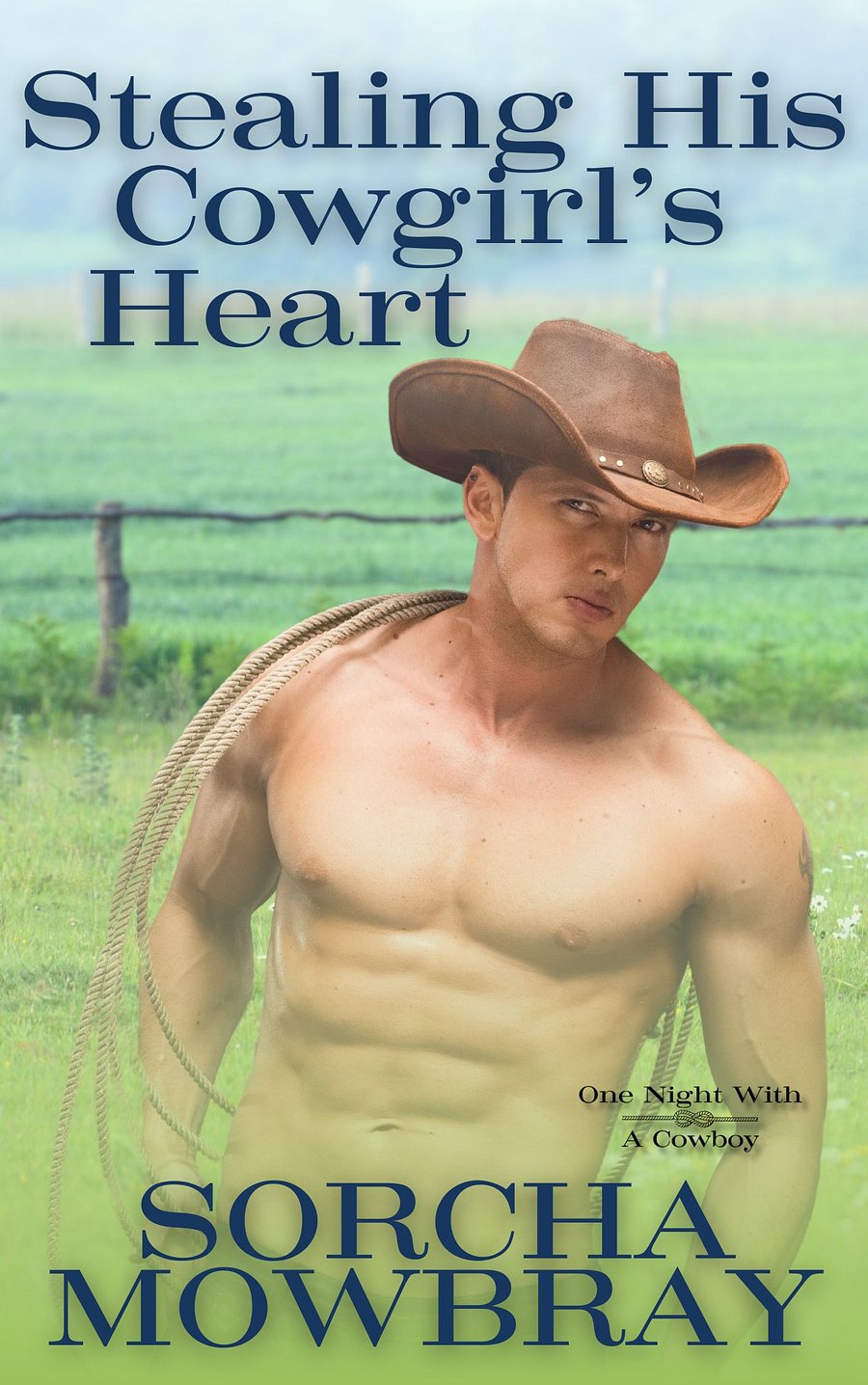 Stealing His Cowgirl's Heart (One Night With A Cowboy, Book 5) product image (2)