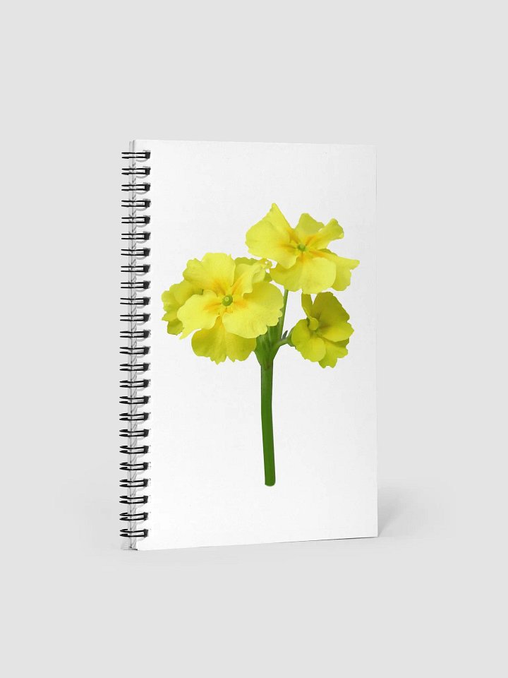 Sunshine Spiral Notebook product image (1)