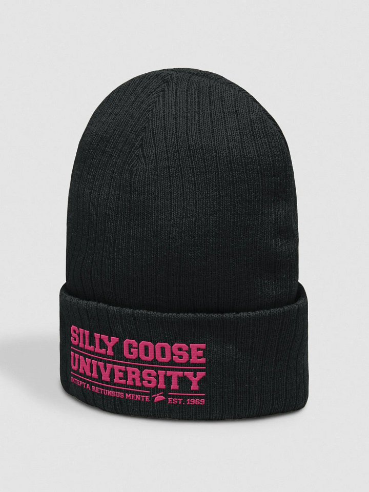 Silly Goose University Touque product image (3)