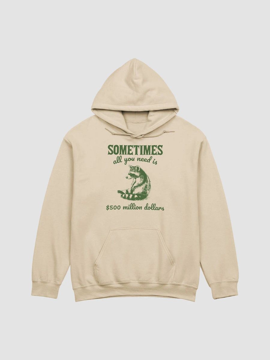 Sometimes all you need is 500 million dollars Hoodie product image (1)